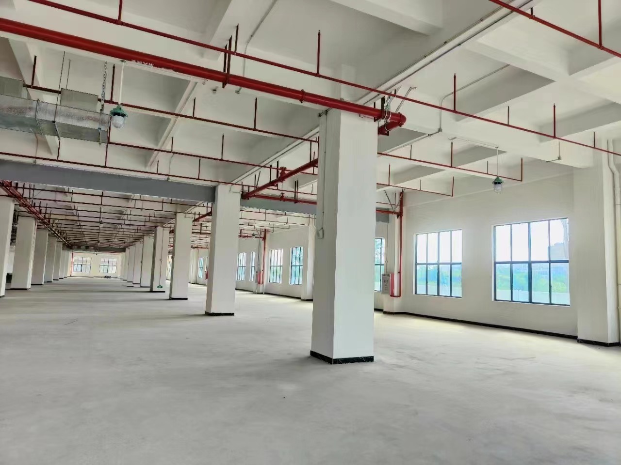 新建红本厂房出租