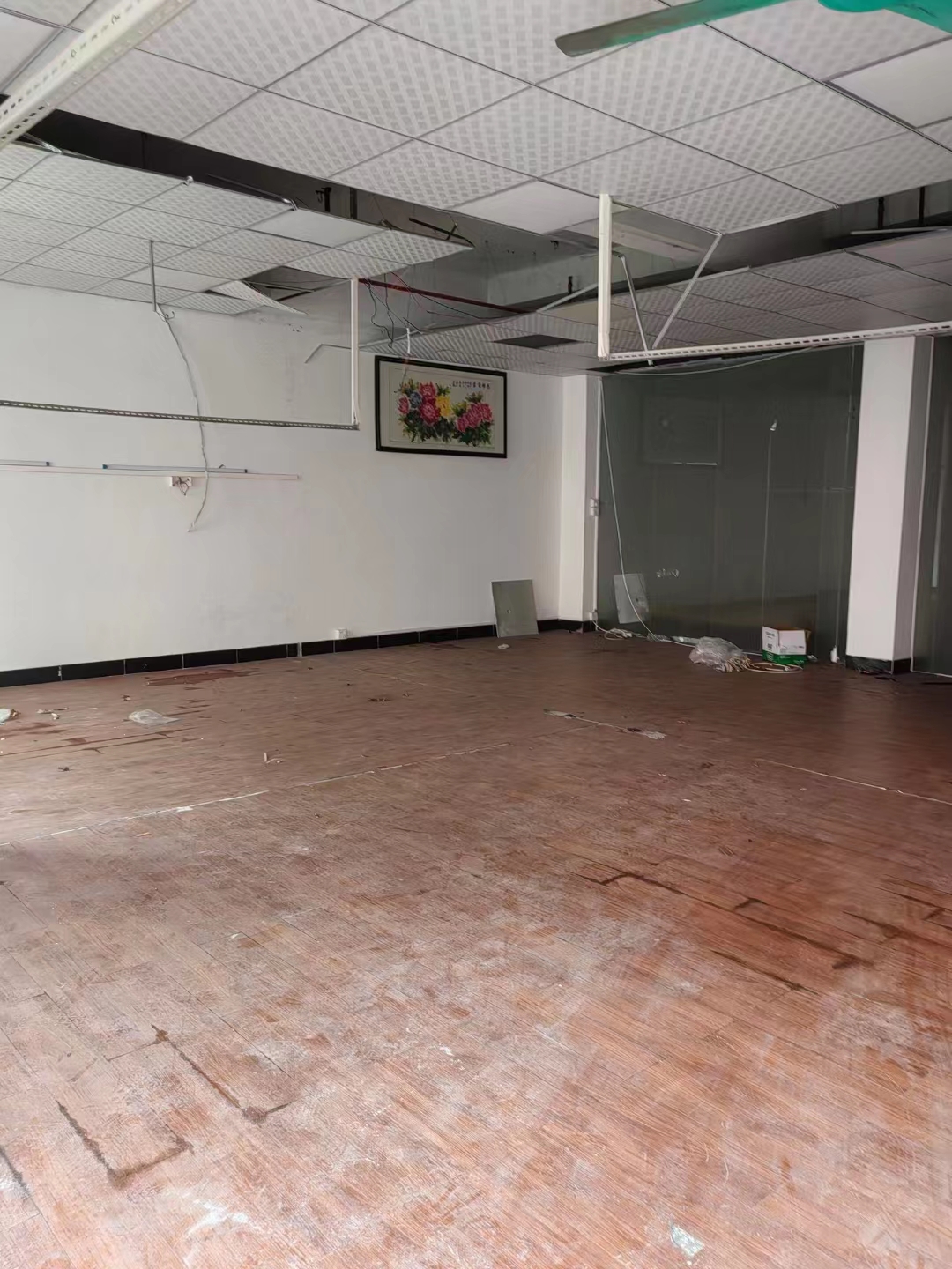 佛新翻新厂房招租！