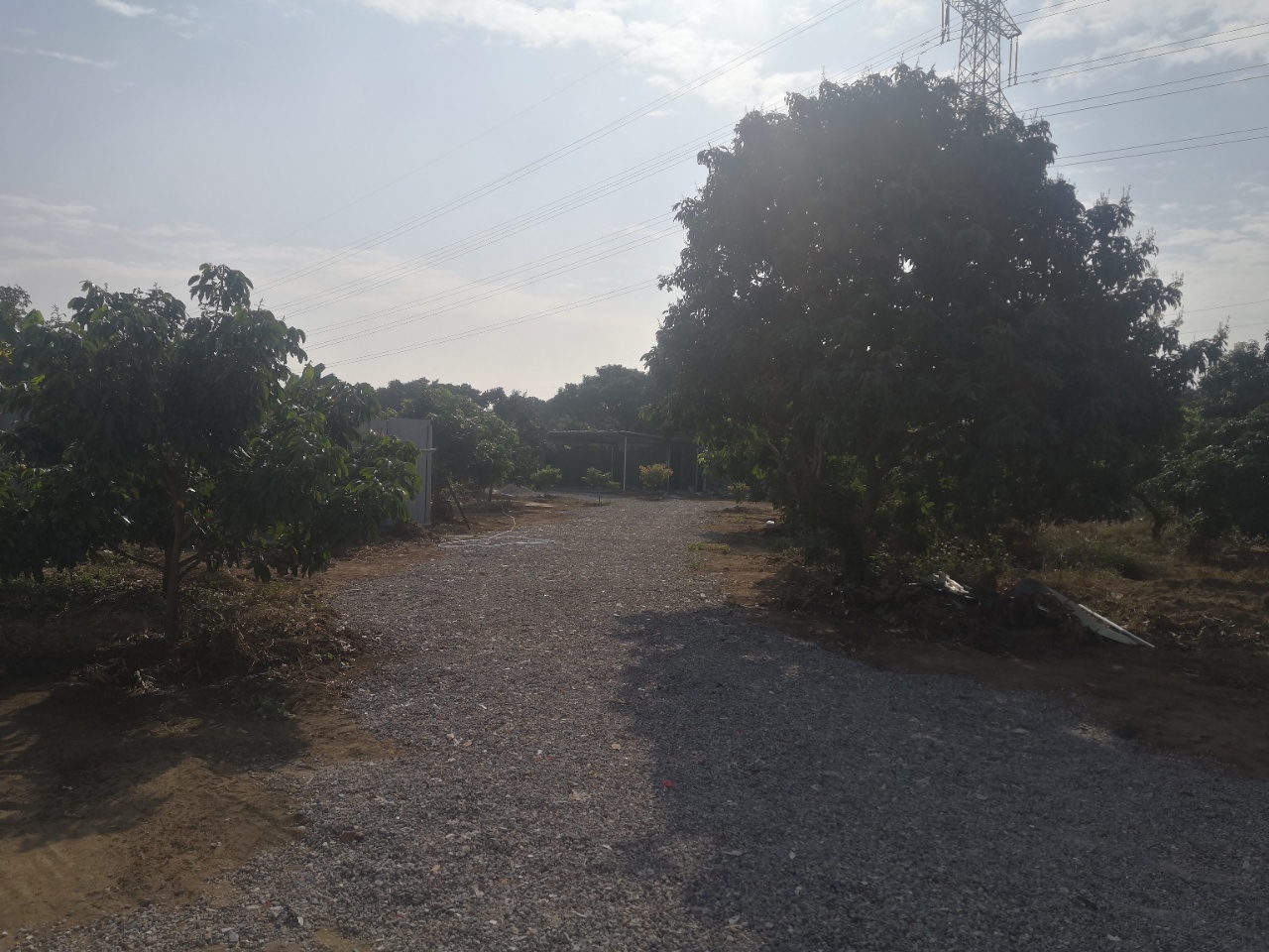 大朗2000方空地出租