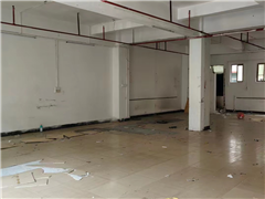 佛新翻新厂房招租！