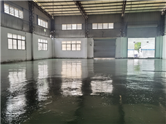 大朗洋乌单一层独栋钢构，650平方